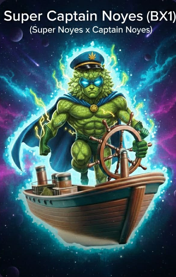 Super Captain Noyes