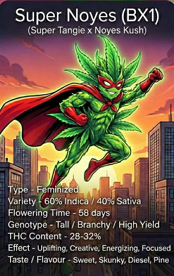 Super Noyes