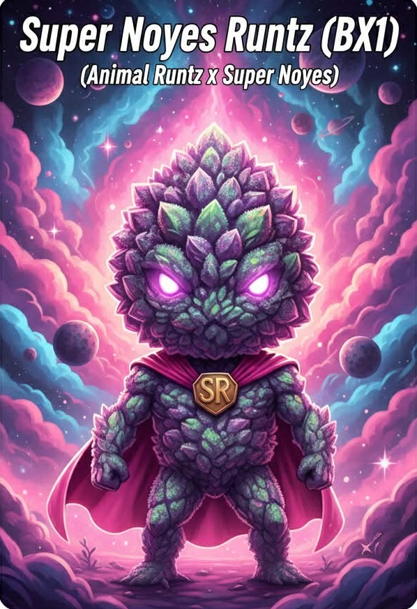 Super Noyes Runtz